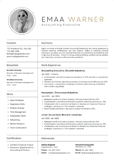 Professional CV Sample 36